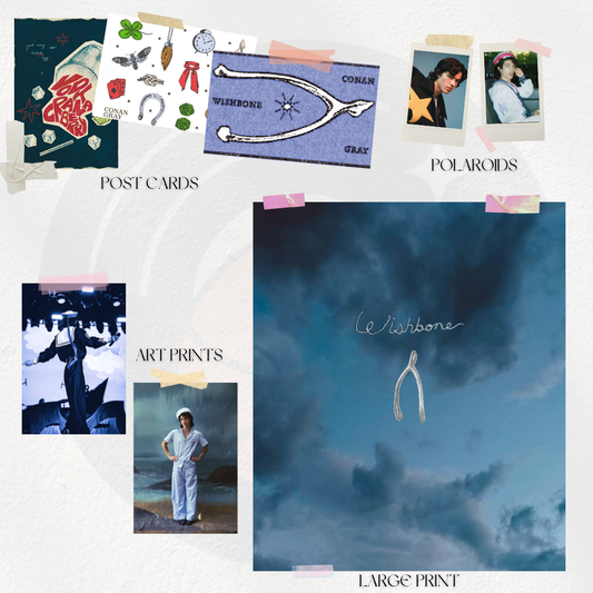 Conan Gray | Wishbone Bundle